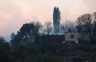 Ahmetli’deki orman yangınının hasar tespit çalışmaları...