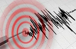 Bitlis’te 4.6 büyüklüğünde deprem