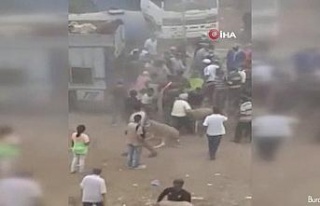 Fas’ta kurban pazarı karıştı, 20 kişi gözaltına...