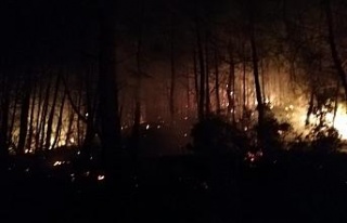 Göcek’teki orman yangını kontrol altına alındı