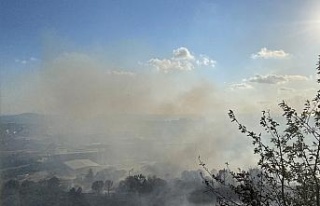 Maltepe’de askeri alanda çıkan yangın kontrol...