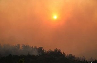 Manisa’daki orman yangını yeniden başladı