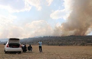 Bolu’da orman yangınına müdahale sürüyor