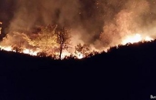 Düzce’de orman yangınına müdahale sürüyor