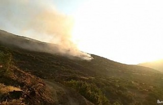 Elazığ’daki orman yangını 30 saatte kontrol...