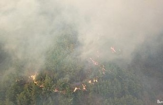 Hatay’daki orman yangınında bir köy daha tahliye...