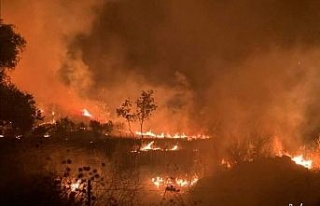 İzmir’de evde çıkan yangın zeytinlik alana sıçradı