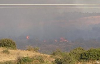 Kavakköy’deki orman yangını kontrol altına alındı