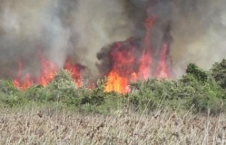 Kızılırmak Deltası’nda yangın devam ediyor