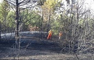 Kütahya’daki orman yangını kontrol altına alındı