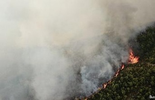 Samandağ’da orman yangını drone ile havadan görüntülendi