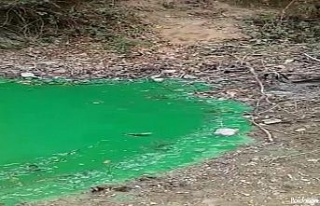 Sultangazi’de baraj suyu yeşile döndü