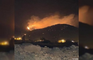 Suudi Arabistan’da dağlık alanda korkutan yangın