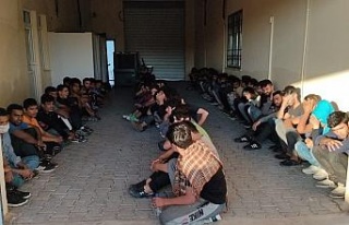 Van’da 17 kişilik minibüste 65 kaçak göçmen...