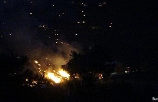 Kozan’daki orman yangını kısmen kontrol altına...