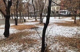 Ağrı’ya mevsimin ilk karı yağdı