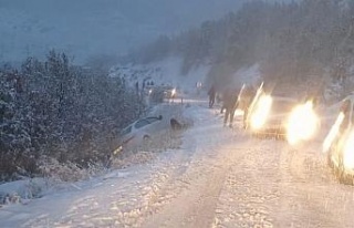 Bingöl’de kar nedeniyle araçlar yol kaldı