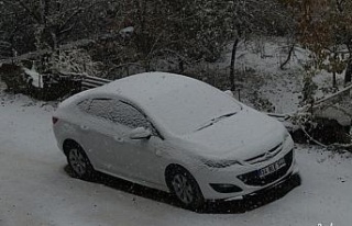 Bitlis’e mevsimin ilk karı yağdı
