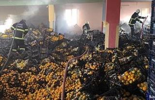 Depodaki yangında 10 ton mandalina zarar gördü