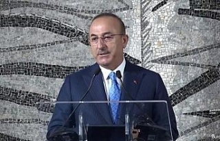 Dışişleri Bakanı Mevlüt Çavuşoğlu: "...