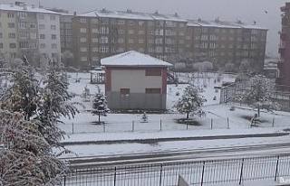 Erzurum’da soğuk hava ve sis etkili oluyor