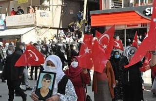HDP’liler acılı ailelerin çığlığını, ses...