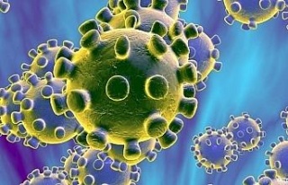 IKBY’de SARS virüsü alarmı