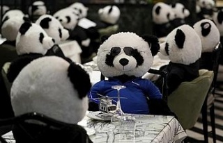 Koronadan kapanan restoranında oyuncak pandaları...