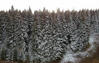 Sinop’a yılın ilk karı düştü, kartpostallık...