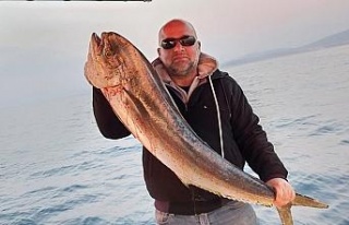 Kuşadası Körfezi’nde 15 kiloluk lambuka balığı...