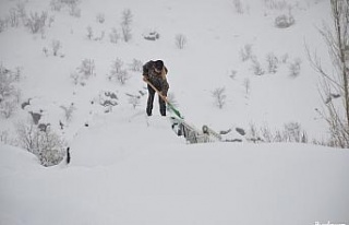 Şırnak’ta ev ve araçlar kar altında kayboldu