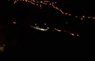 İzmir’de orman yangını: 500 kestane ve meşe...