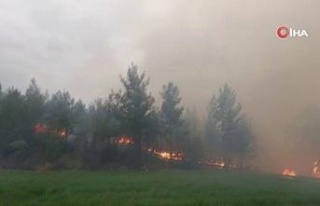 Muğla’daki orman yangınlarını söndürme çalışmaları...