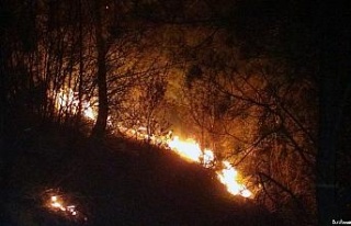 Orman yangınları erken başladı