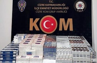Şırnak’ta asayiş ve kaçakçılık operasyonu:...