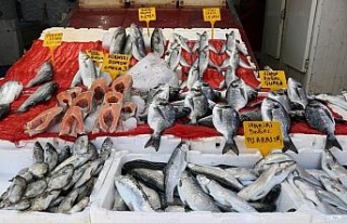 Balık satışları azaldı fiyatlar düştü