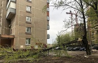 Moskova’da şiddetli rüzgar 56 ağacı devirdi:...