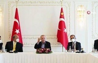 Cumhurbaşkanı Erdoğan, Anadolu Efes’i kabul etti