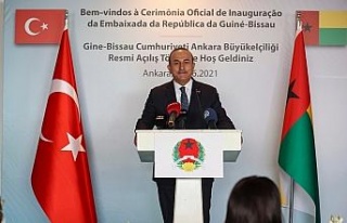 Dışişleri Bakanı Çavuşoğlu: “Afrika bizim...