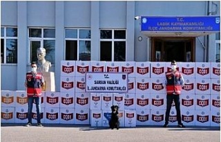 Samsun’da kaçak makaron operasyonu: 33 gözaltı