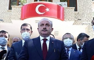 "Türkiye artık anayasa tartışmasında ilkesel...