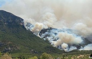 Akseki’de orman yangını devam ediyor