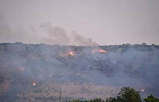 Gaziantep’te çıkan orman yangını kontrol altına...