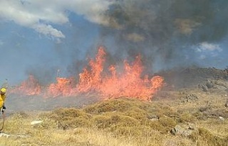 İzmarit yangını 18 dönümlük araziyi küle çevirdi