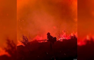 Kaliforniya’da orman yangını evleri küle çevirdi