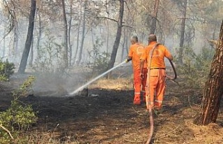 Kilis’te kontrol altına alınan orman yangını...
