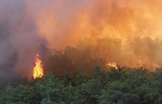 Manavgat’ta orman yangını devam ediyor, metrelerce...