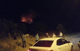Manisa’da orman yangını başladı