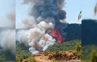 Marmaris’teki orman yangınının ilk başladığı...