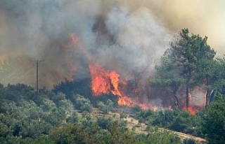 Osmaniye’de çıkan orman yangını devam ediyor
